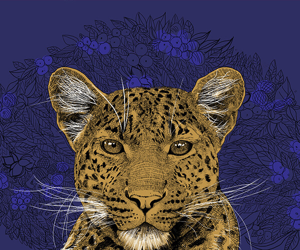 ?人性化設(shè)計(jì)是包裝設(shè)計(jì)發(fā)展的一個(gè)趨勢(shì)