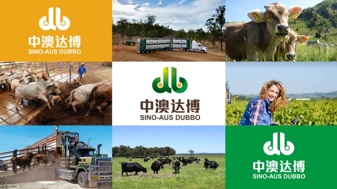 如何才能夠做出一份專業(yè)性的個性化品牌包裝？