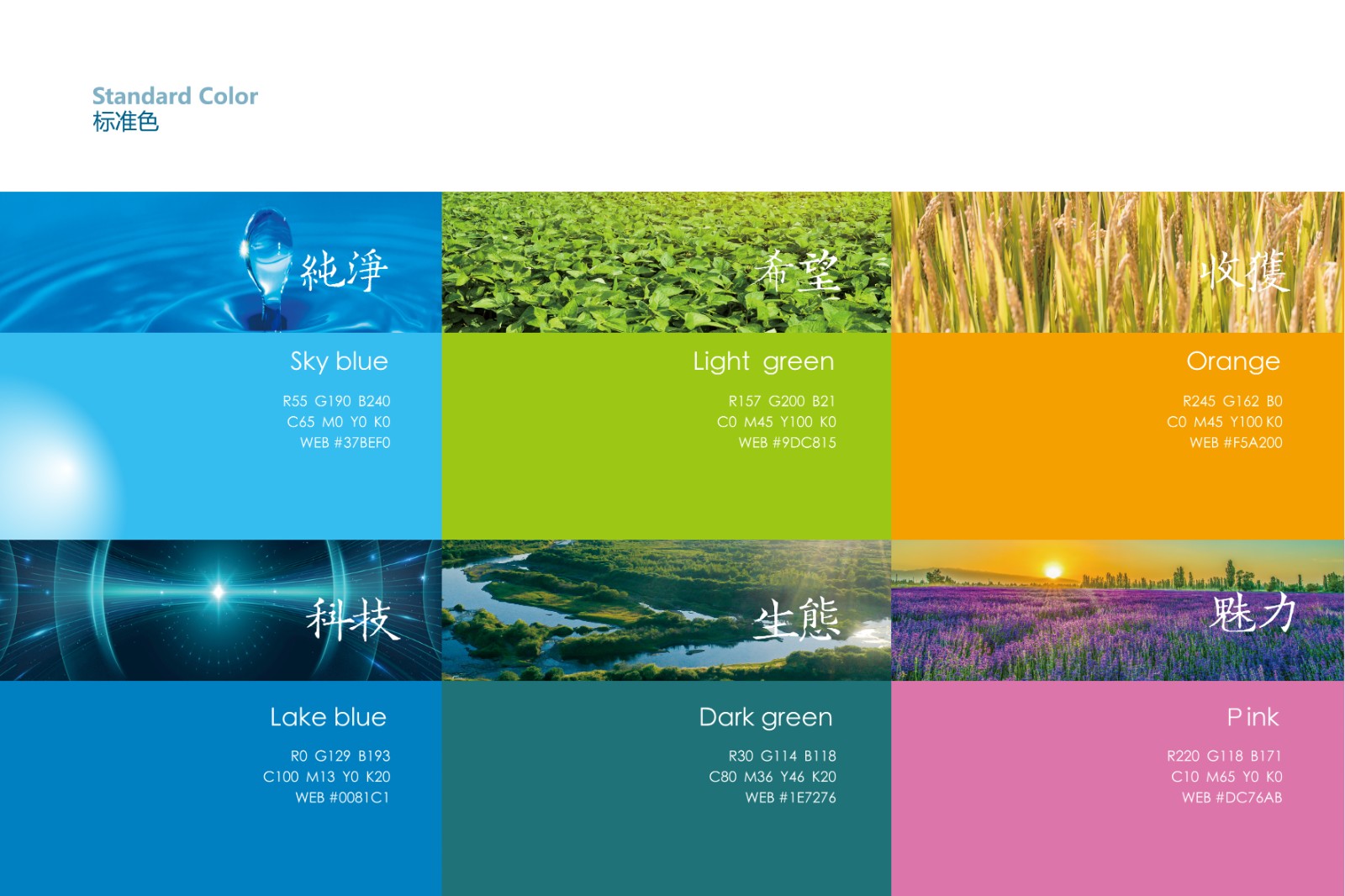 1631256808563111.jpg 1631256808563111.jpg