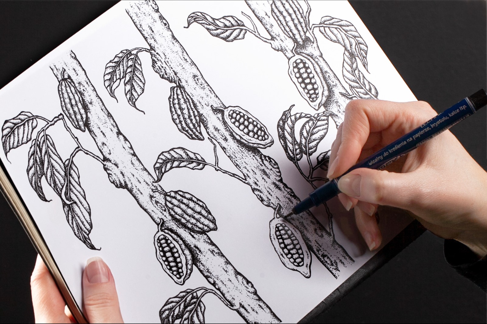 禮盒插畫包裝設計 禮盒插畫包裝設計