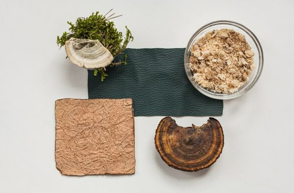 Woola、LivingPackets 和 Releaf Paper 入圍 LVMH 創(chuàng)新設(shè)計(jì)獎(jiǎng)決賽