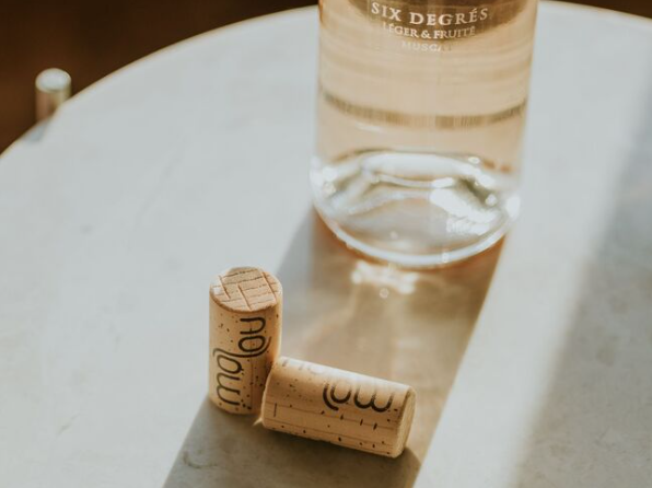 瓶塞密封裝置創(chuàng)新設(shè)計(jì)